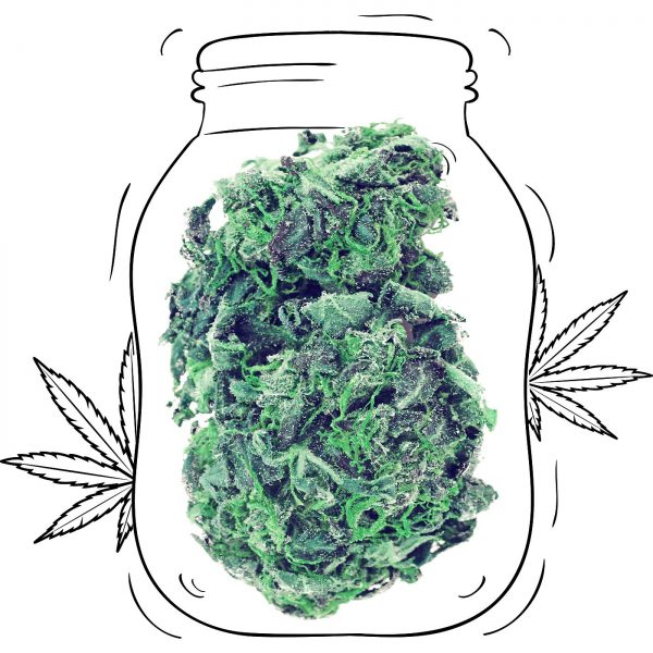 Buy Skywalker OG Cannabis - Medicinal - Weed UK